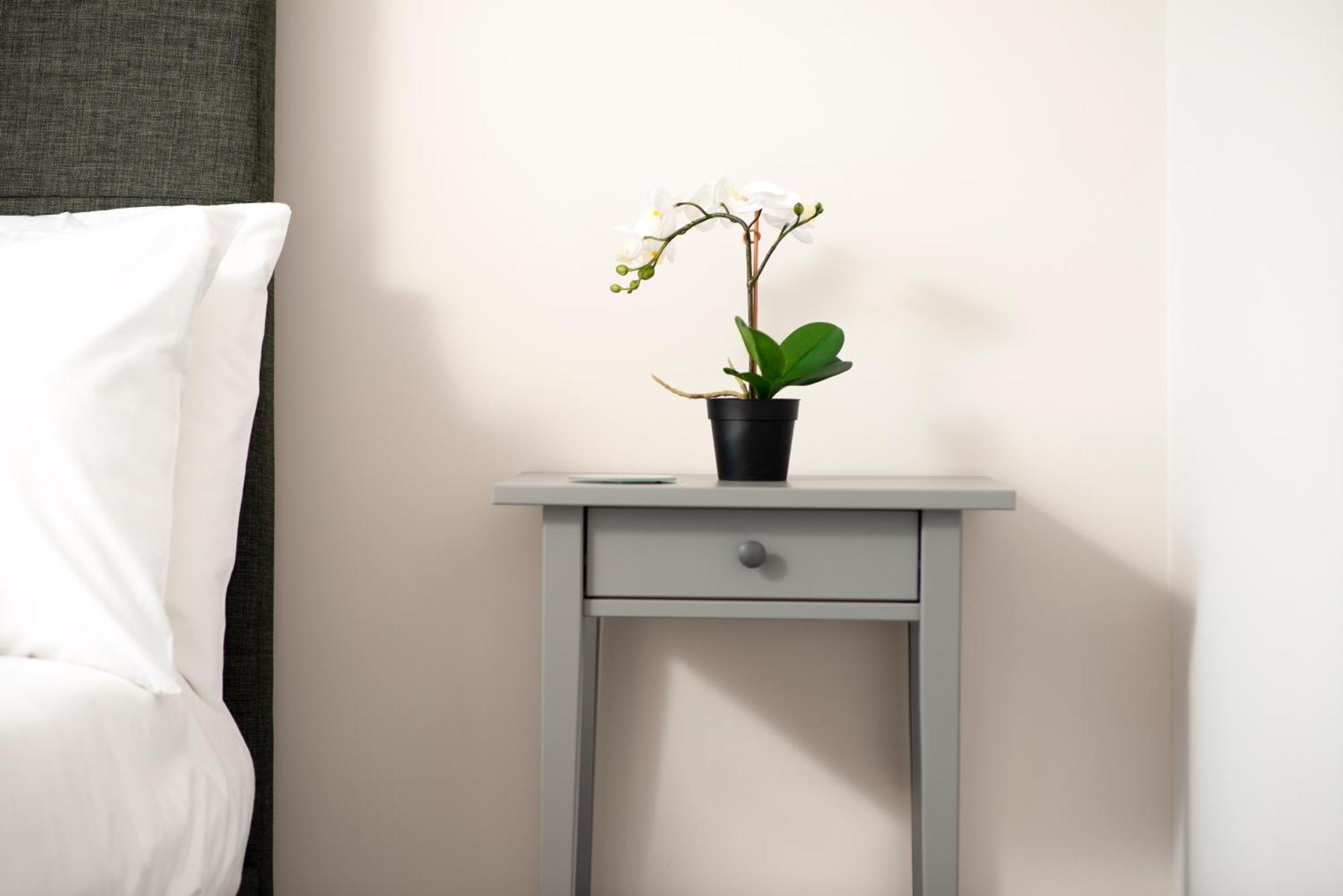 Morley Cottage - Modern 3 Bedroom, 2 Bathroom House With Garden In Southsea, Portsmouth Kültér fotó